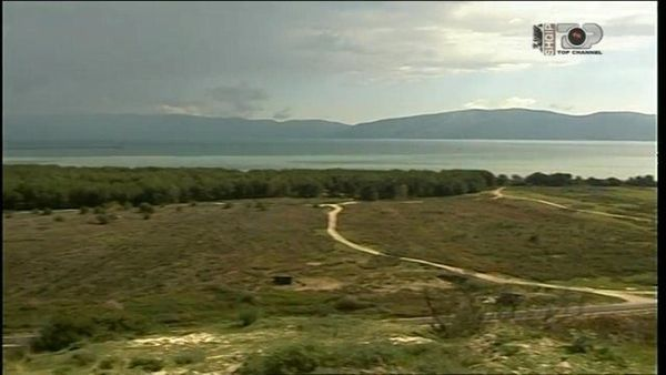 Pylli Foto Pajtim Xhelo: Pylli i Sodës në Vlorë një mrekulli e krijuar nga ...